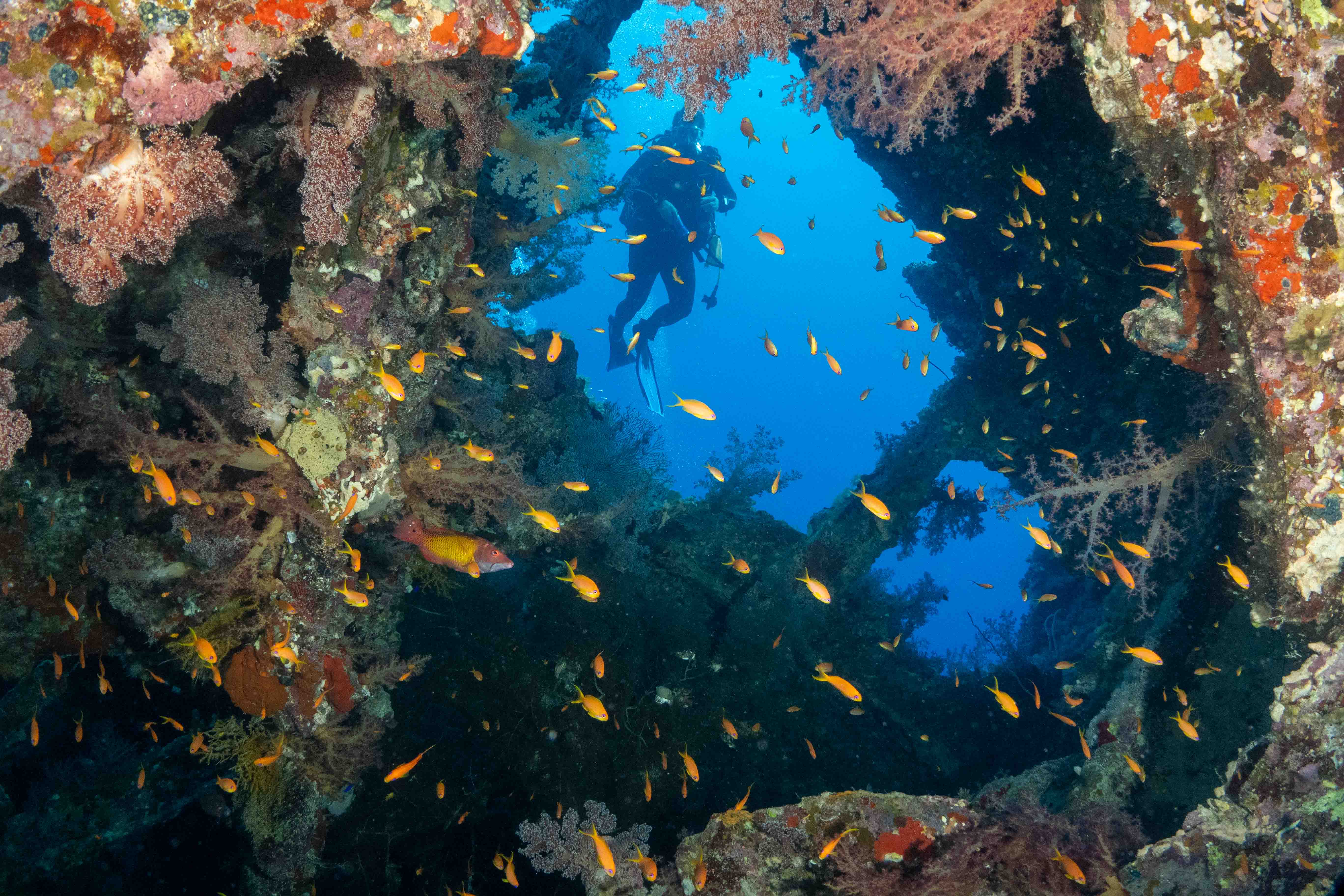 Photographie sous-marine