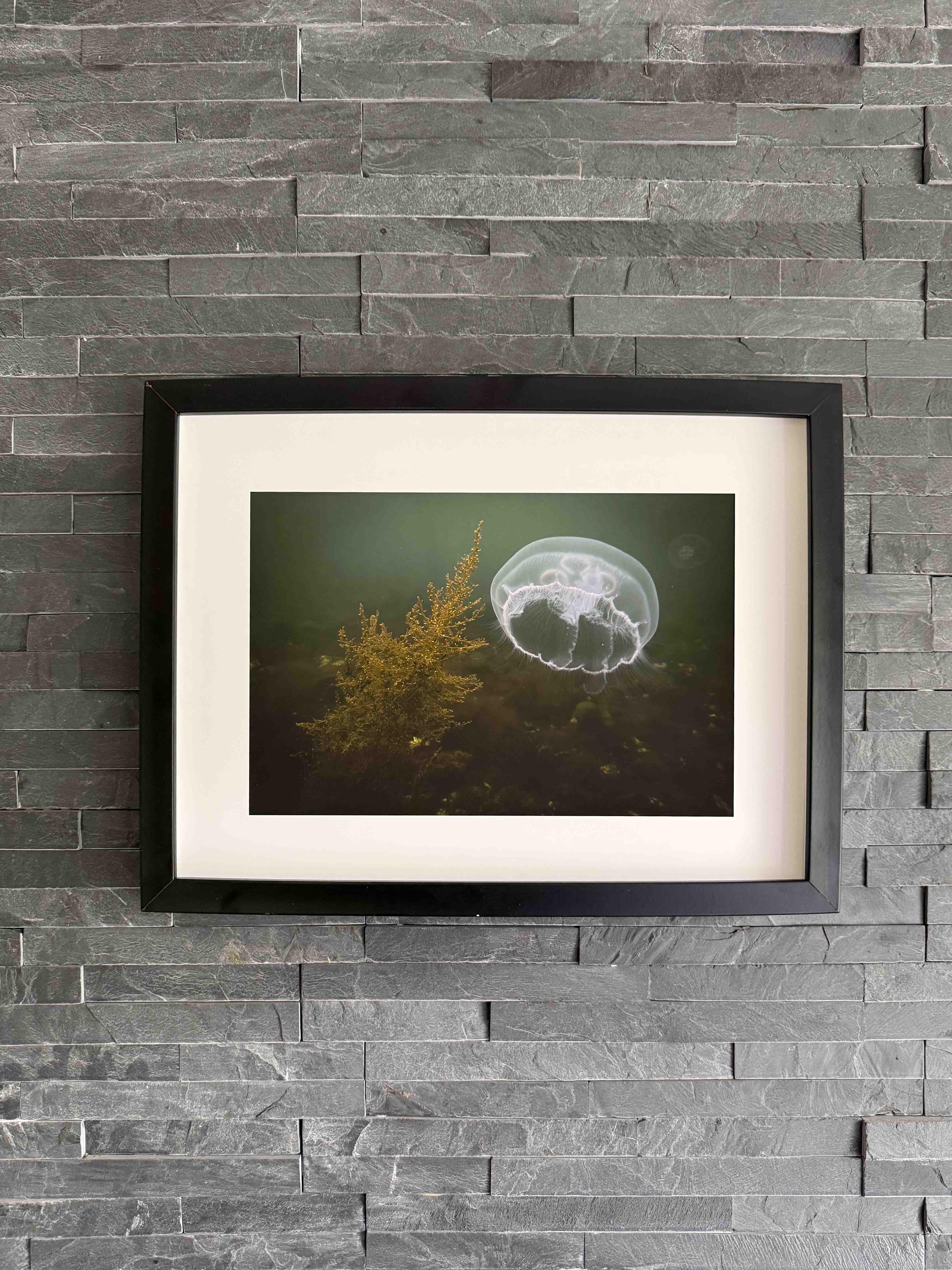 Tirage photographique présenté dans un intérieur